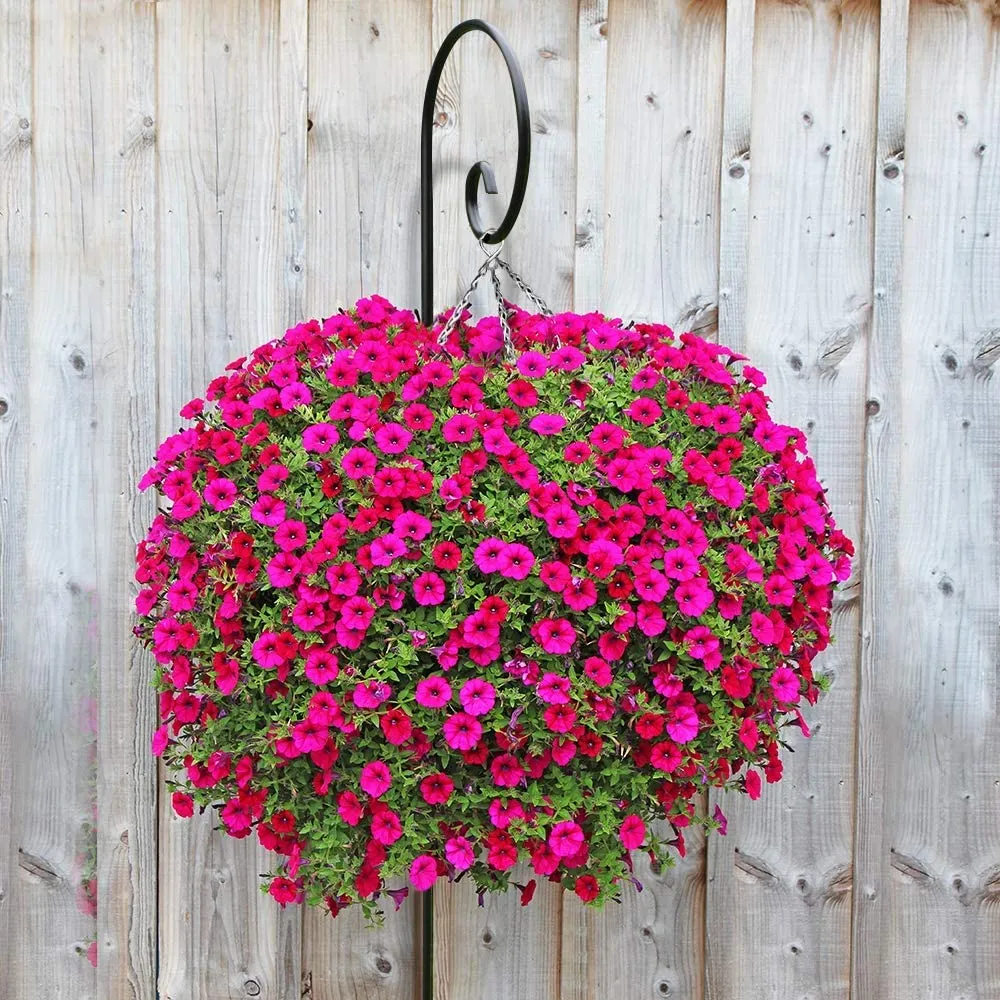 BEAU JARDIN 2 Pack Shepherd Hook 92 in Tall 3/5in Thick Bird Feeder Pole Premium Garden Hanging Plants Metal BG1861