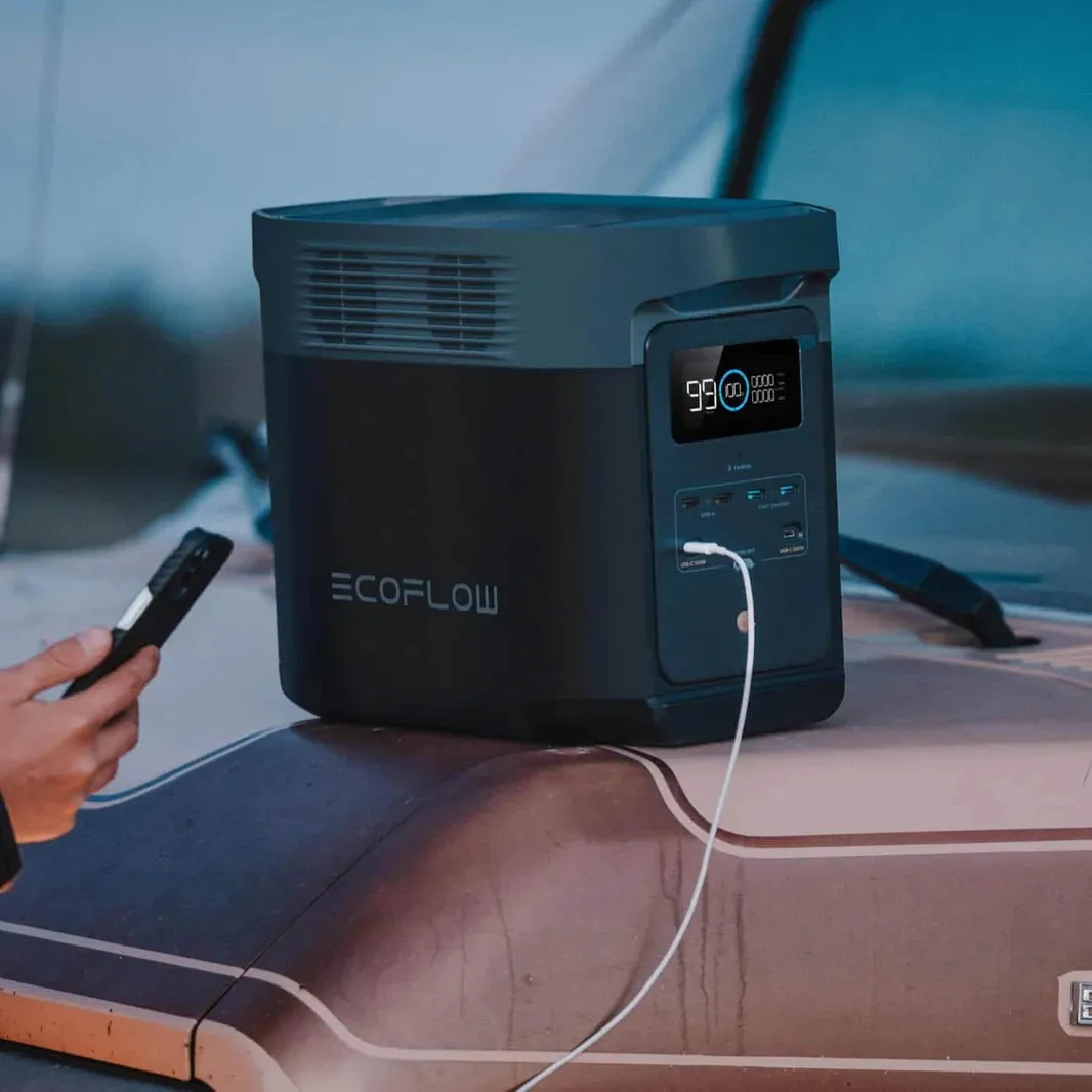 EcoFlow DELTA 2   110W Portable Solar Panel
