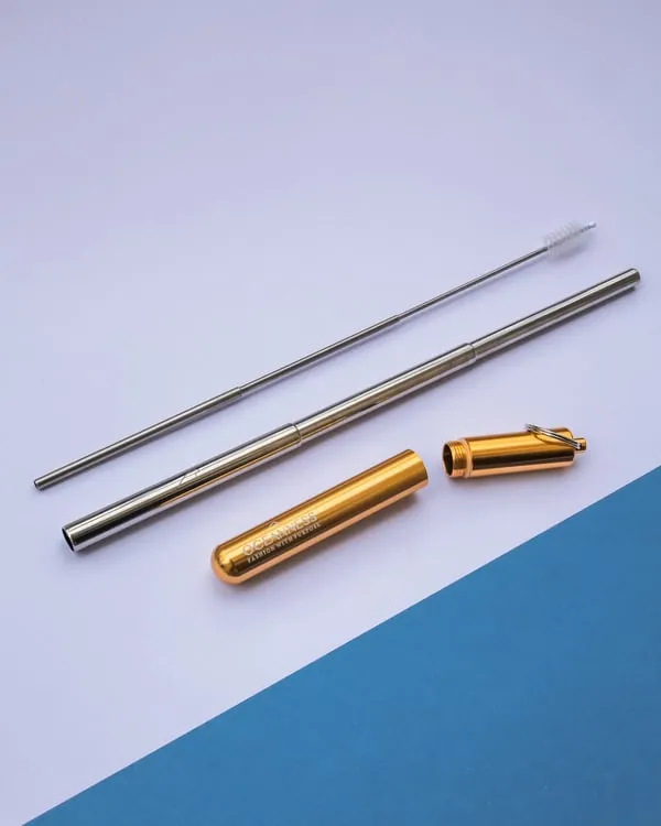 Reusable Eco Travel Straw in Gold