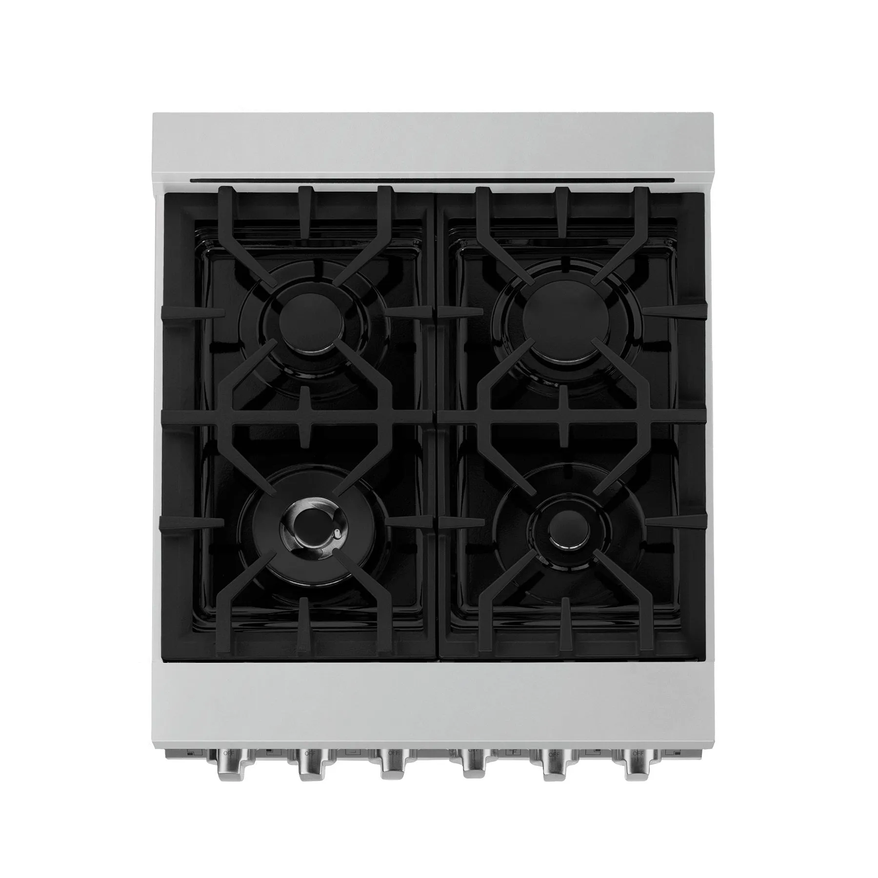 ZLINE 24" 2.8 cu. ft. Range with Gas Stove and Gas Oven in Stainless with Blue Matte Door (RG-BM-24)