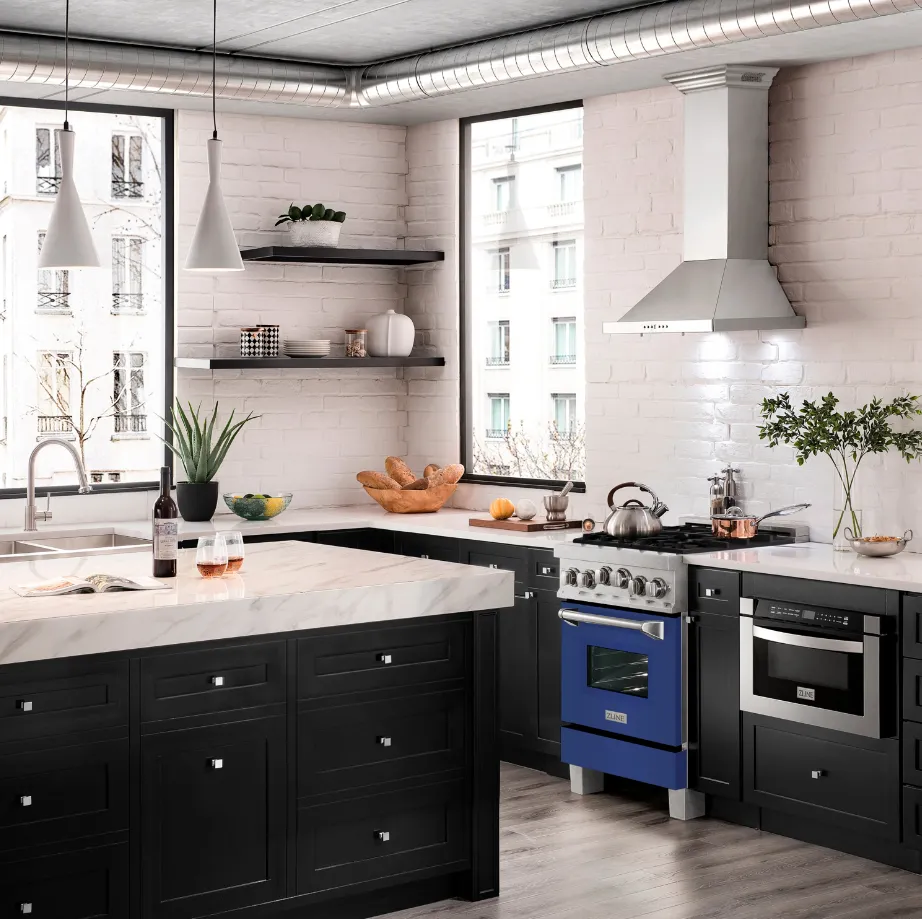 ZLINE 24" 2.8 cu. ft. Range with Gas Stove and Gas Oven in Stainless with Blue Matte Door (RG-BM-24)