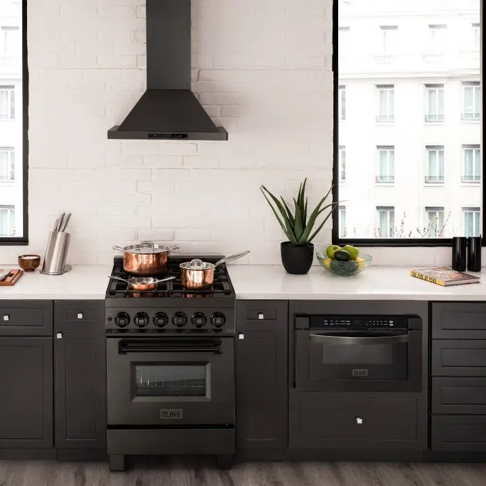 ZLINE 24" Black Stainless 2.8 Cu.Ft. 4 Gas Brass Burner/Electric Oven Range (RAB-BR-24)