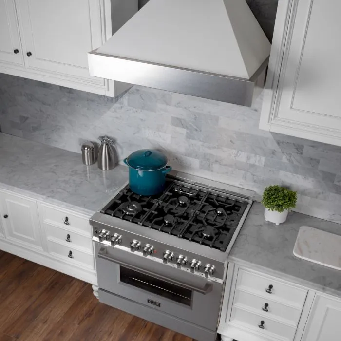 ZLINE 36 IN. Professional Dual Fuel Range in Snow Stainless with Snow Stainless Door (RAS-SN-36)
